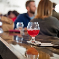 Looking pink at Black Lab Brewing