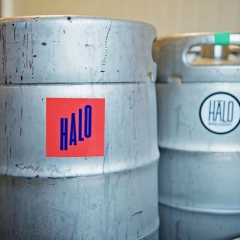 Halo Brewery Kegs