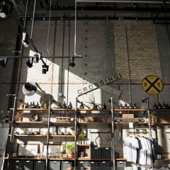 Junction Craft Brewery retail shelves