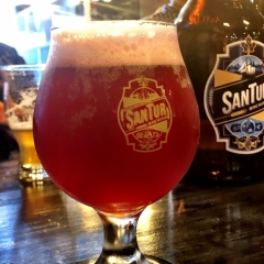 Raspberry Hibiscus Nitro Ale