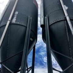 Malt silos